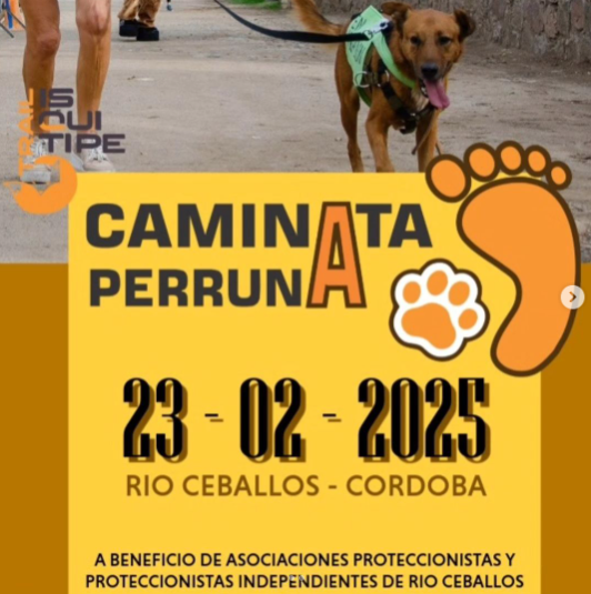 Imagen del evento Caminata Perruna